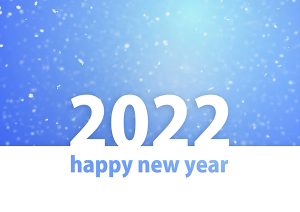 Итоги 2021 года и планы на 2022 год
